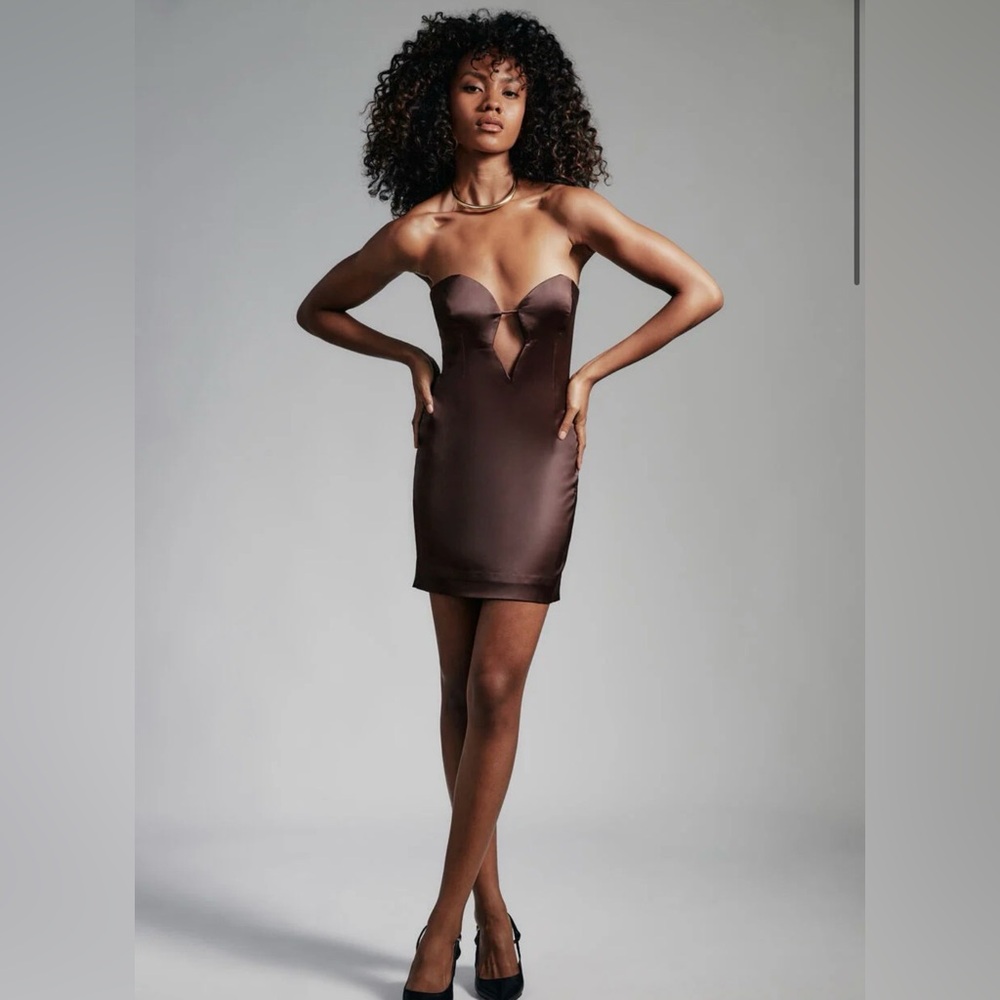 Bardot Chocolate Satin Mini Dress